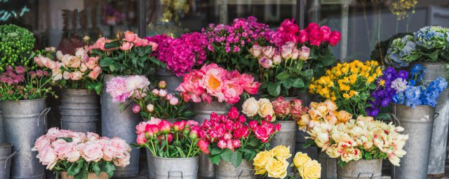 恰似草木对光阴的钟情意思介绍(恰似草木对光阴的钟情怎么理解)