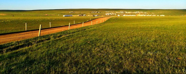 赞美草原的短句有哪些(形容草原美的短句)