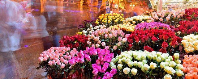 花若盛开蝶自来的解释(花若盛开蝴蝶自来原意是什么)