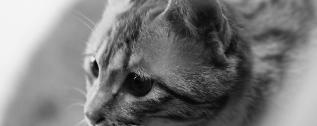 什么的眼神填词(什么的眼神填词形容词)