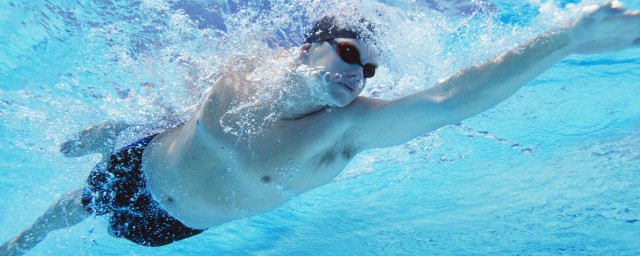 杨健介绍(杨健个人资料)