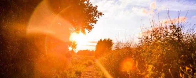 优美短句摘抄(描写春天景色的优美短句摘抄)