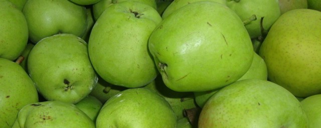青梨的功效与作用是什么(青梨的好处)