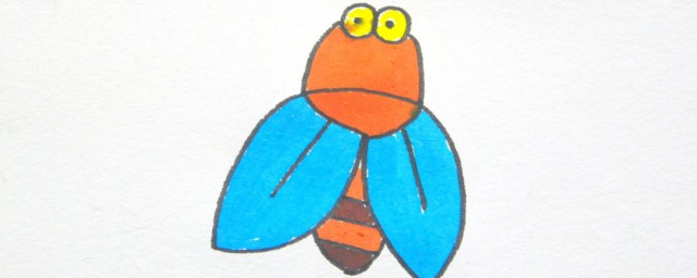 比知了小的动物(知了是什么样的动物)