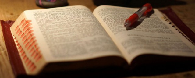 写担保书方法(担保书怎么写格式怎么写合理)