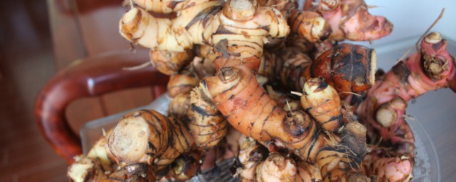 红生姜的功效是什么(红参加生姜作用与功效)