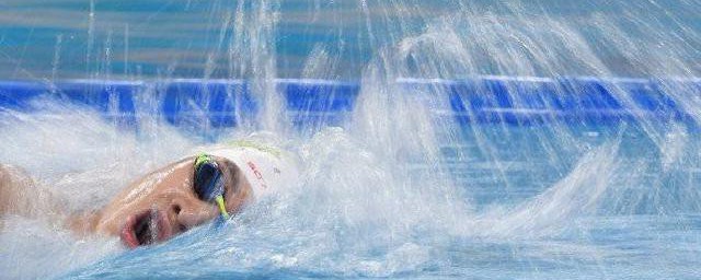 谁是张子扬(王子扬是谁)