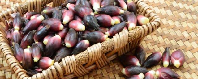 洋荷姜的功效(洋荷姜的功效与作用百度百科)