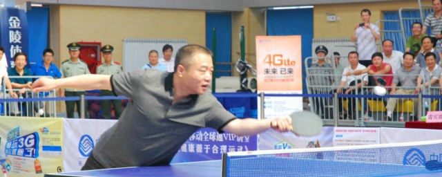 乒乓球冠军王涛的老婆名字(乒乓球名将王涛个人资料)