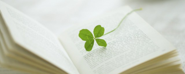 社会人说的点水解释(社会句上水什么意思)