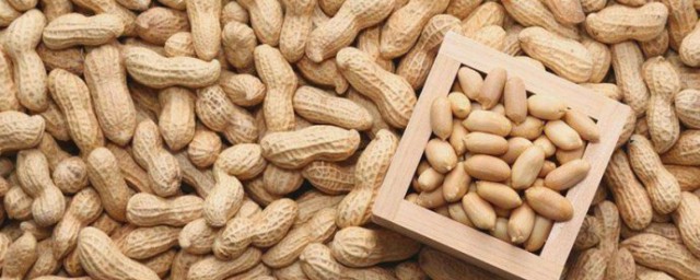 梦见买花生的意思介绍(梦见买花生周公解梦)