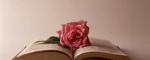 洒脱不羁的解释(洒脱不羁是褒义词吗)