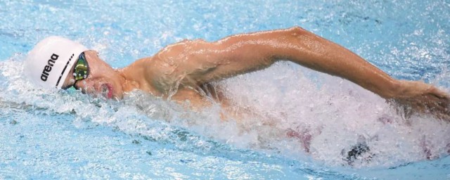 季新杰个人简介(季新杰照片)