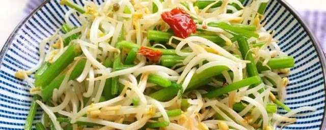 清炒豆芽做法介绍(炒豆芽的做法)