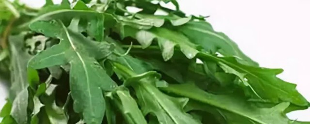 野莴苣菜的功效与作用是什么(莴苣菜的功效与作用禁忌)