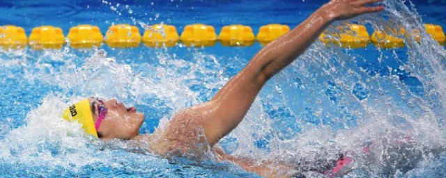 程玉洁个人简介(程玉琪个人资料)