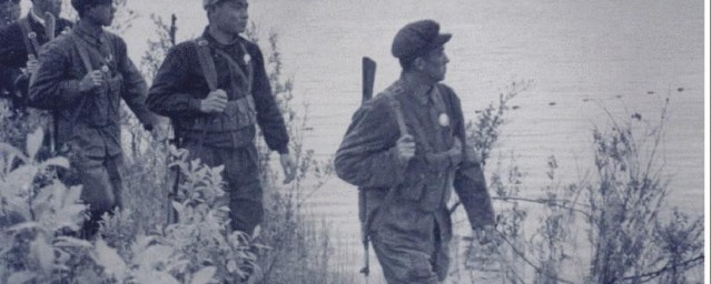 珍宝岛事件介绍(珍宝岛事件是什么)