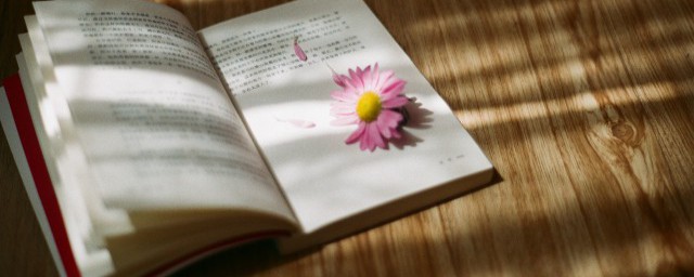 高校自主招生的意思(自主招生的意思是)