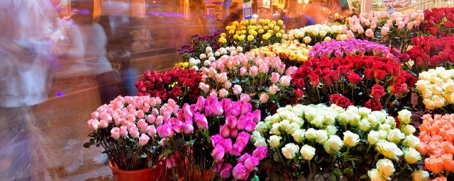 有什么鲜花的名称(鲜花名称大全以及寓意)