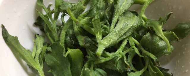 制作冰草用不用焯水(冰草直接吃 不焯水吗)