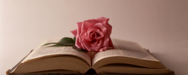 我本凉薄之人的含义(我本凉薄的意思是什么)