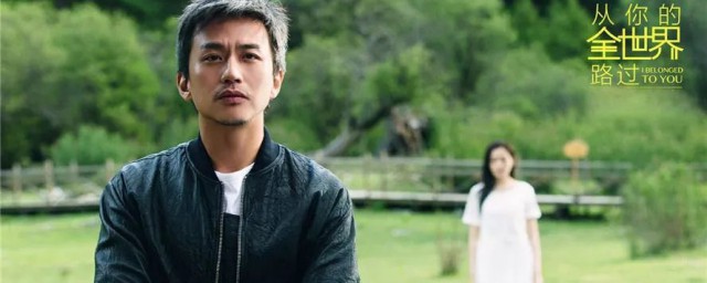 从你的全世界路过电影简介(从你的全世界路过电影版详情介绍)