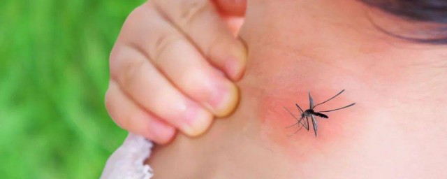 止痒有效的方法(怎样止痒最有效的方法是什么)