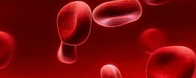 精子叫什么脱氧糖