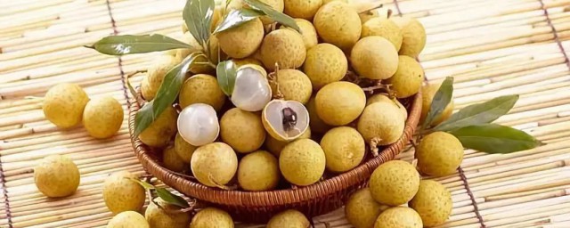 龙眼介绍(广西石硖龙眼介绍)