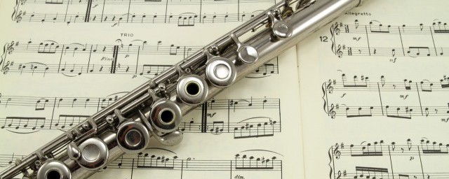 王莉介绍(王莉莉个人资料简介)