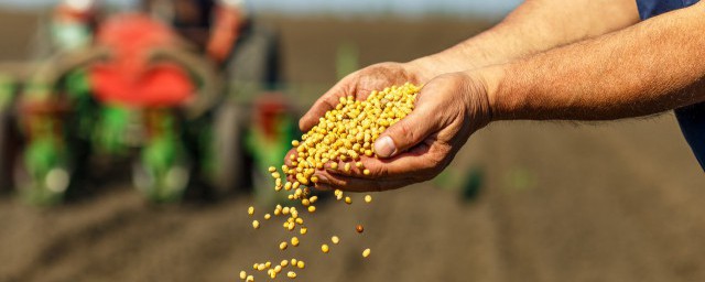 农业局全称是什么(农业厅全称是什么?)