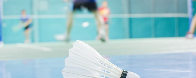 羽毛球的介绍(羽毛球的介绍与用处)