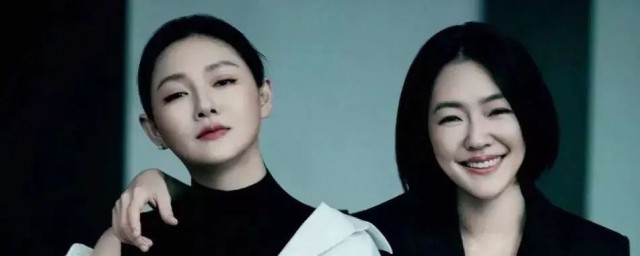 大小s个人详细资料(大小S哪里人)