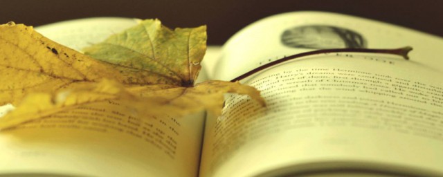 bae是不是宝贝的意思(bae是宝贝)