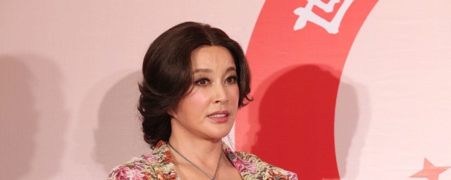 刘晓庆个人资料(刘晓庆个人资料近照)