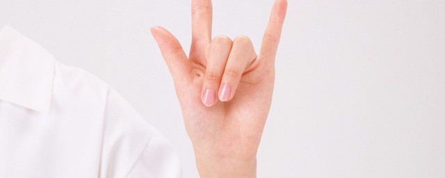 手掌各个部位叫什么名称(手掌的部位分别叫什么)