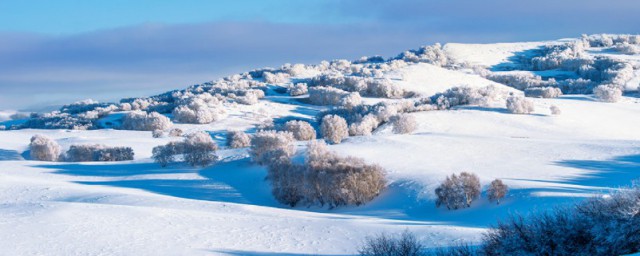 冬字解释(冬字是什么)