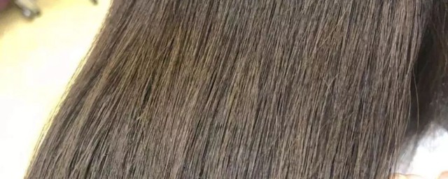 脱发后吃什么可以长头发(掉头发吃什么食物)