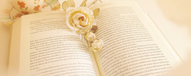 成年亦乘风解释(成年亦乘风不忧亦不惧出自)