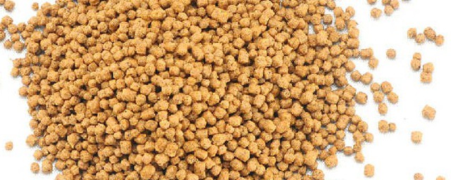 鱼食做法步骤(鱼食的做法视频教程)