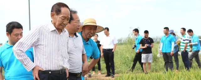 袁隆平简历介绍(袁隆平:简历 个人资料隆)