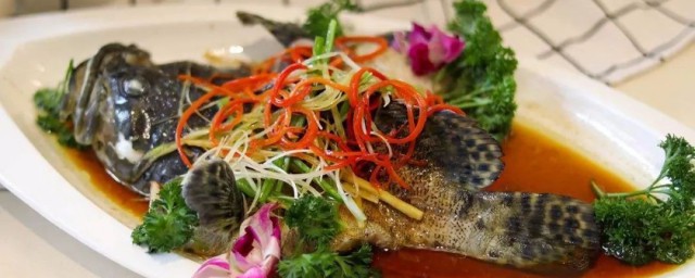清蒸石斑鱼做法介绍(清蒸石斑鱼怎样做)