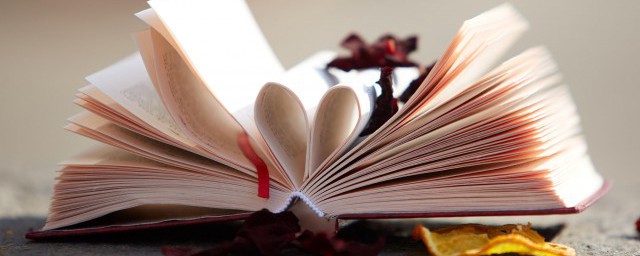 网络语言spy意思介绍(ysp网络语是什么意思)