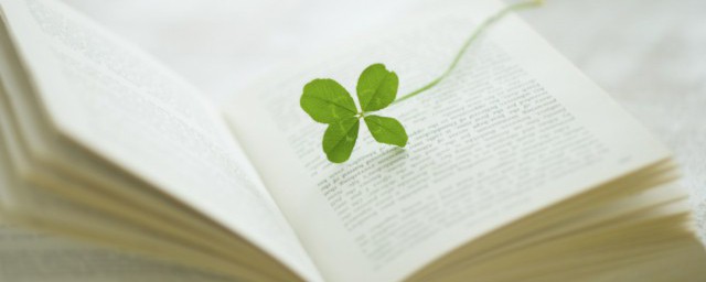 人如蝼蚁命如草芥的解释(人如蝼蚁命如草芥读音)