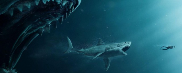 巨齿鲨动物的简介(巨齿鲨动物世界)