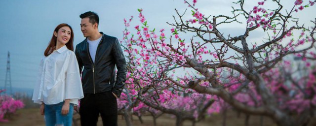 任君采撷意思是什么(任君采劼还是任君采撷)