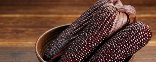 那种紫色的玉米叫什么(紫白色的玉米叫什么)