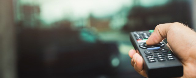 林正英九菊一派电影叫啥(林正英菊花一派电影院)