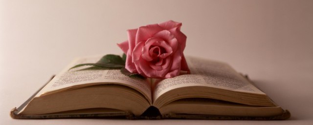 一世年华一生淡定的解释(一世年华的意思)