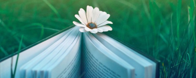 网络用语呼呼呼解释(呼叫网络用语)